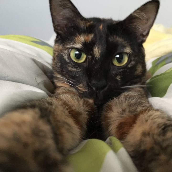 Cebf545d 8c52 4649 b13b 0aa1cdcfc2bd