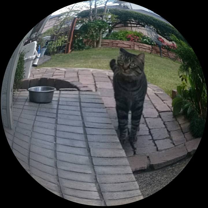 Cebf8b42 9e9e 42f2 b1ea e59e96567d45