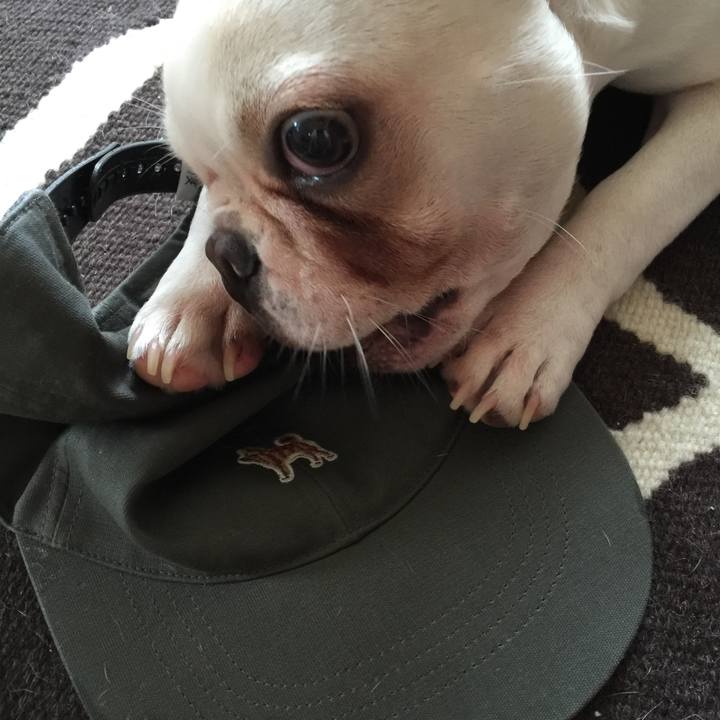 Cec04414 e1f3 4ead 8376 f5c56b376ea5