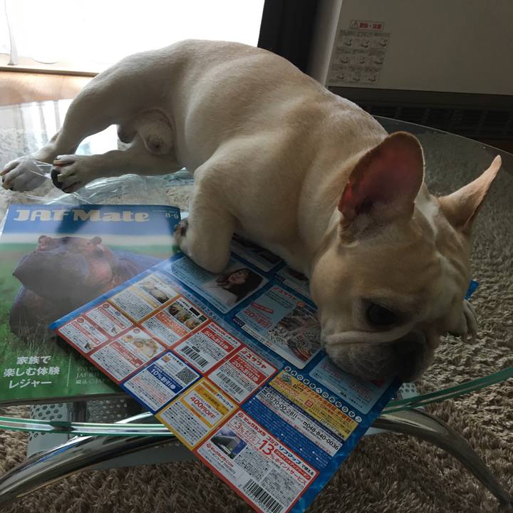 Cec0883d 4bd3 4e73 907a 7f9ec5c63ec1