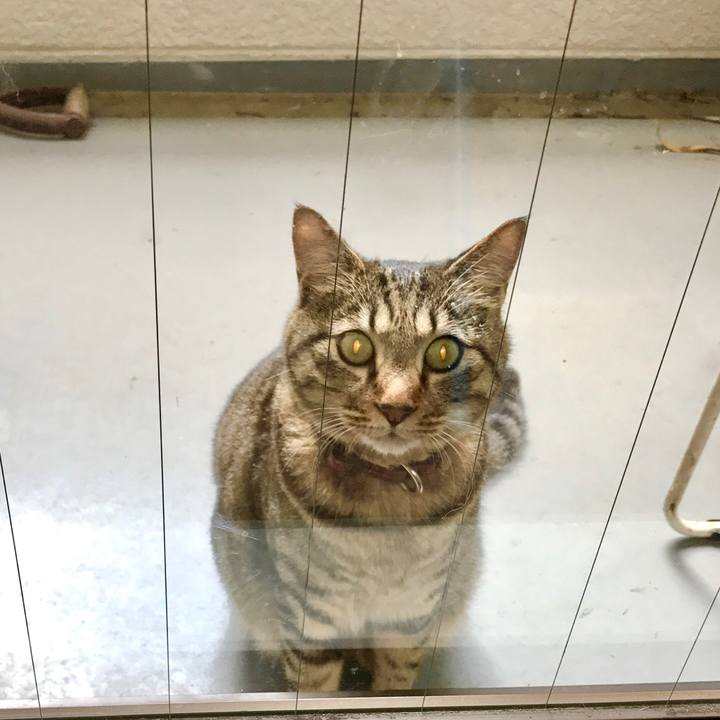 Cec10fac 6585 4b44 a840 9bab909c78c1