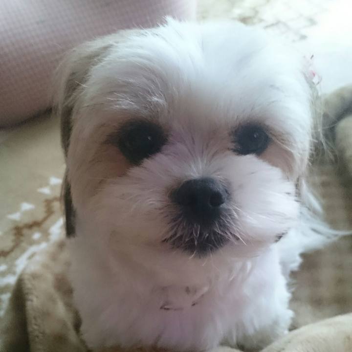 Cec14f9d 967b 4ed9 a5db a9ab3782f18e