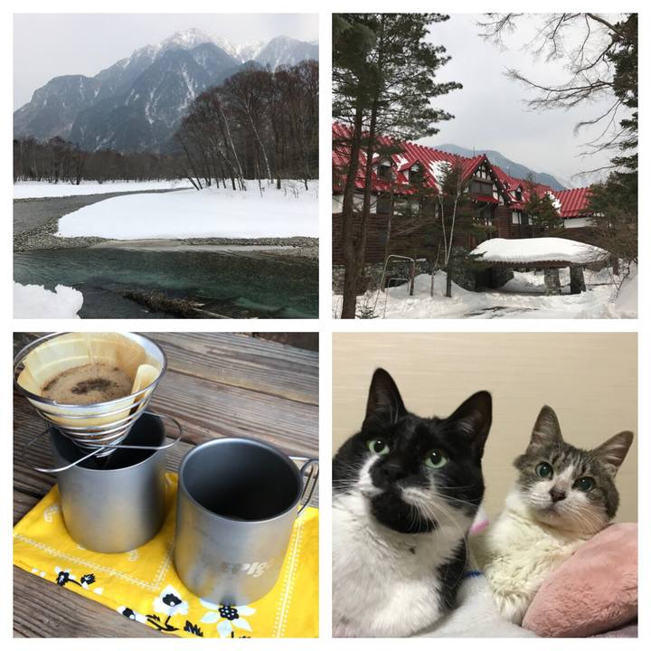 Cec18068 280b 4492 8796 31030991b14e