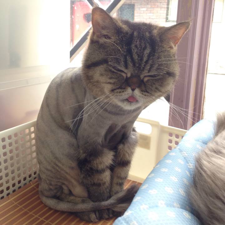 Cec18621 1475 4625 8f7a 1a3bcfb5b066