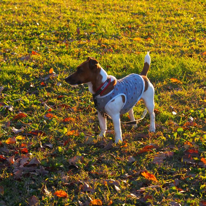 Cec241f6 5d8c 4a74 97a2 885175e80700