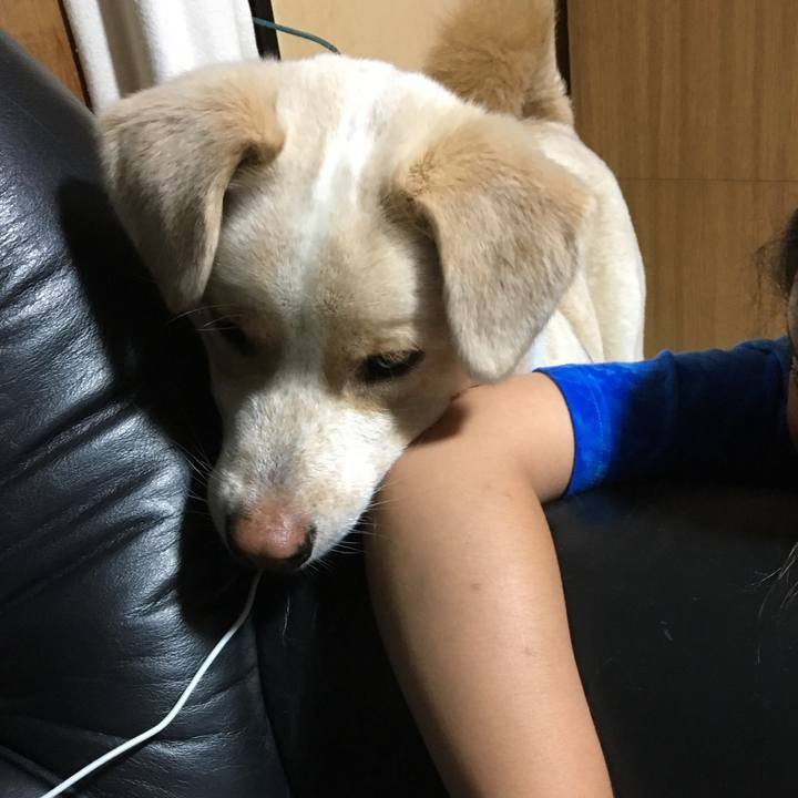 Cec30a58 686b 40c6 9243 f5f38dd58b75