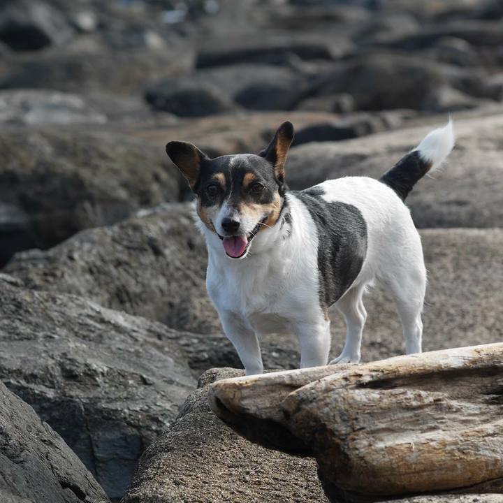 Cec34e75 5fc6 4d98 8933 6f10cc24fef8