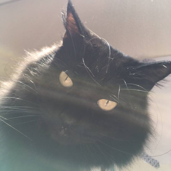 Cec40e50 266b 479e 9583 40c1ca13f521