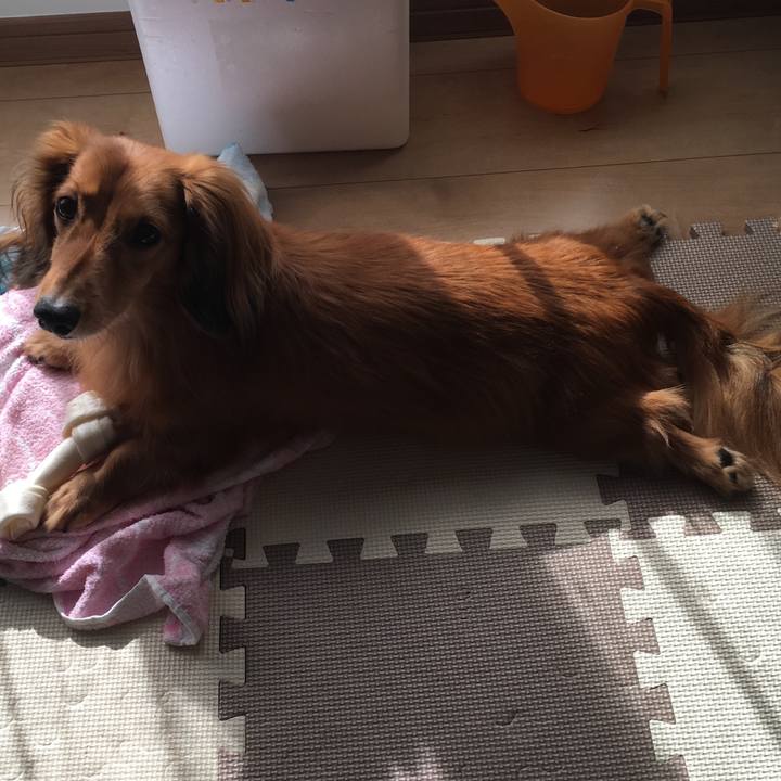 Cec55560 9999 4c19 9bfb f98852205b38