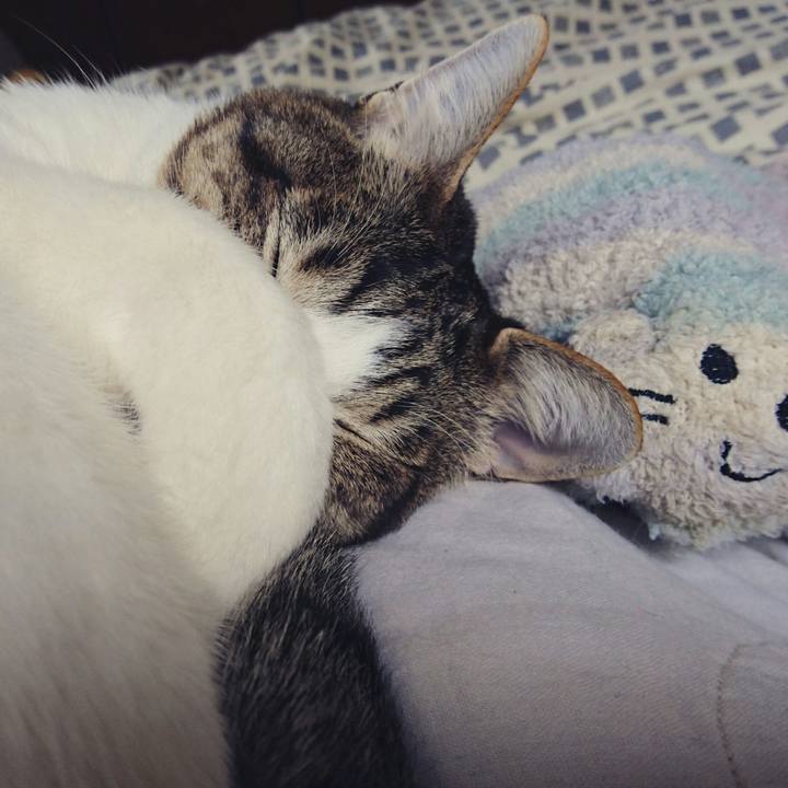 Cec60b19 2588 44ea bf1b c88a34c7199f