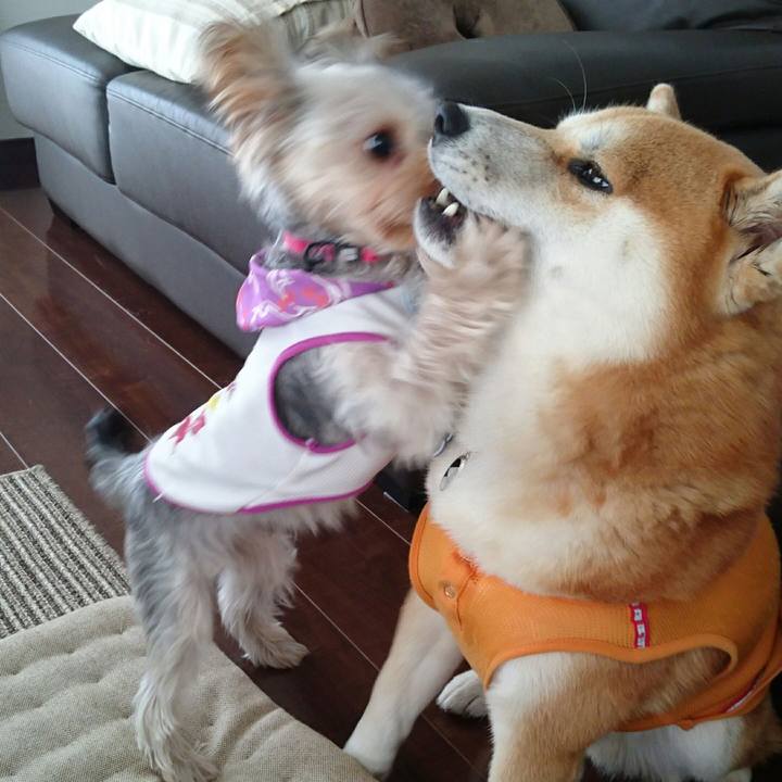 Cec6492f dd1d 4502 96fb 545d68147744