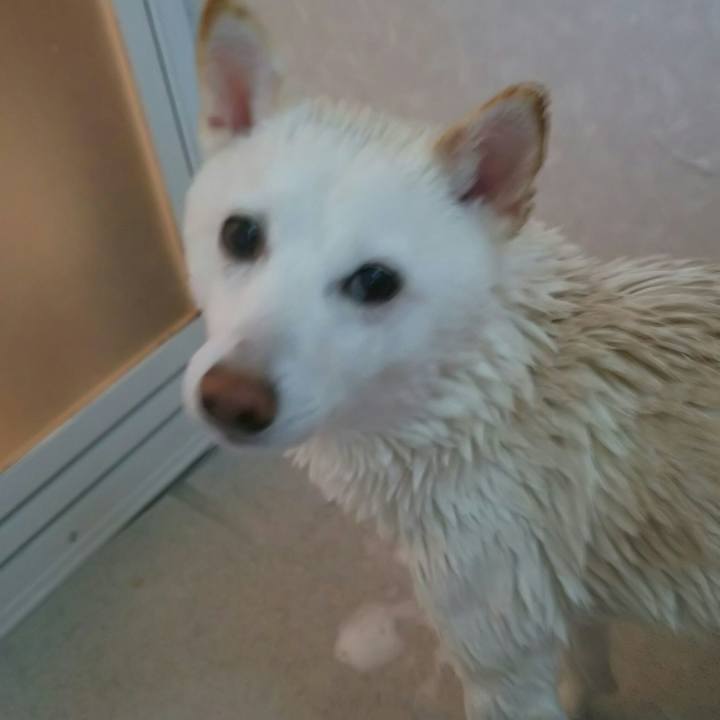 Cec64a48 bc32 4d22 bc3f da1ad6b61a21