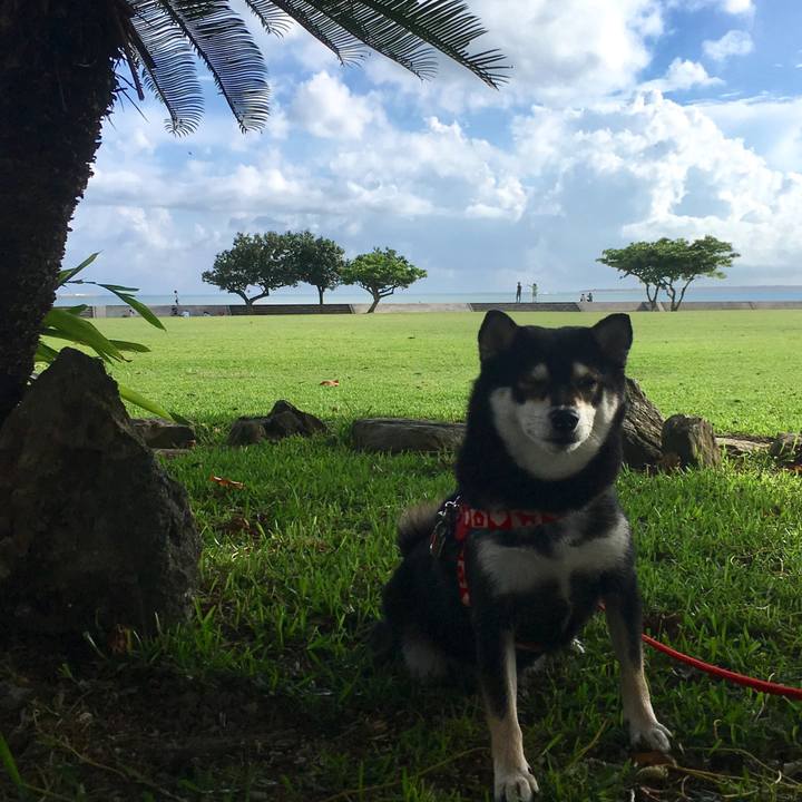 Cec69a39 48fd 451a 8080 0372c35b0353