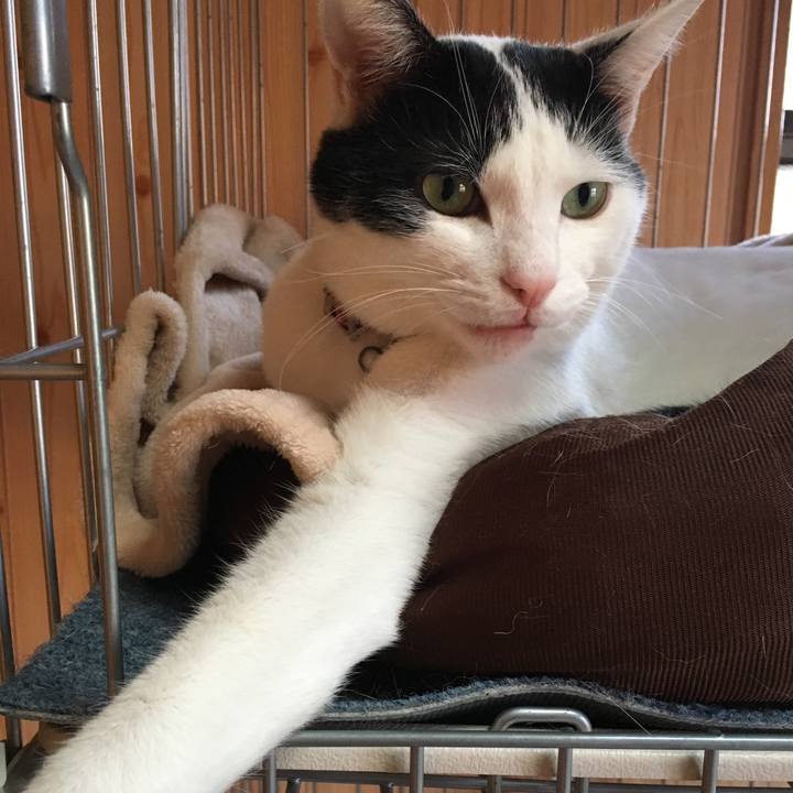 Cec6bca2 7bf0 44de a9b3 5fbdf831ca37