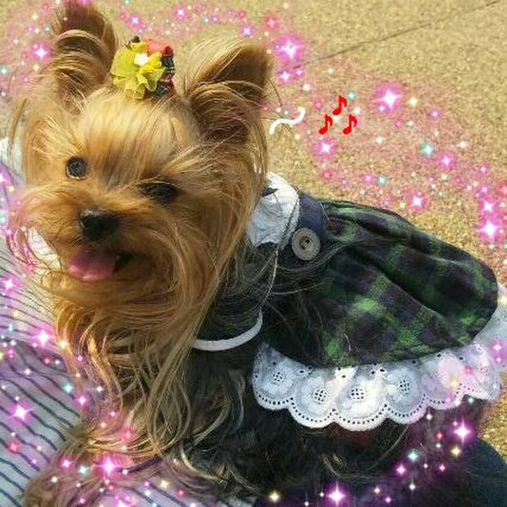 Cec6ea07 720b 4ca0 b245 f94d499236e3