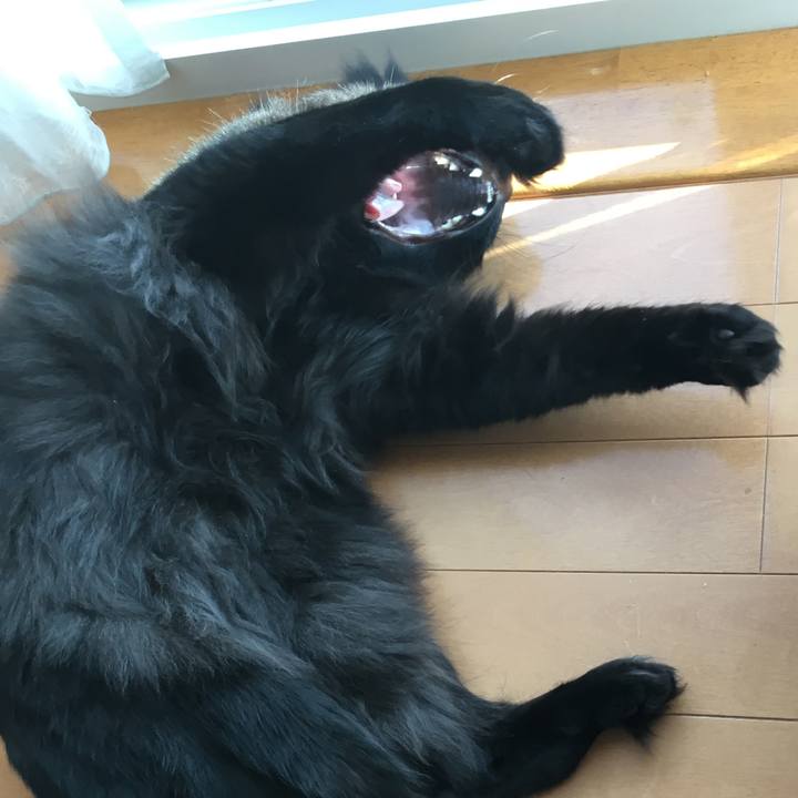 Cec70f4a 1651 4940 89b6 0758aae718f1