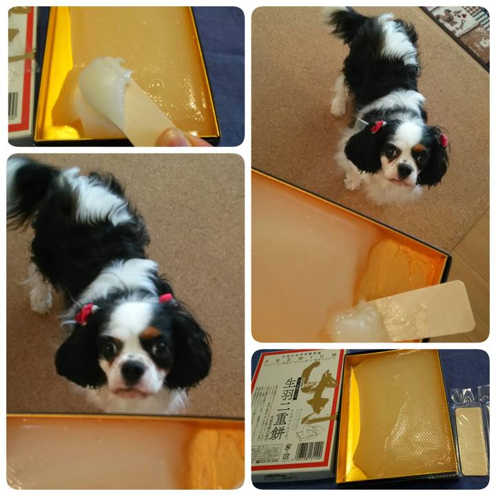 Cec73374 00f0 4fb2 bf6b 8773b3e8fd5a