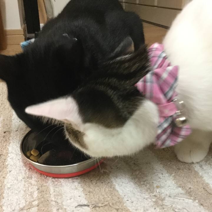 Cec76829 33a9 4b64 8590 9e0470c52ea9