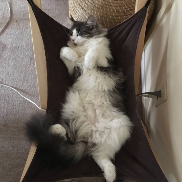 Cec7a978 3495 4ad4 807b 37ee11535475