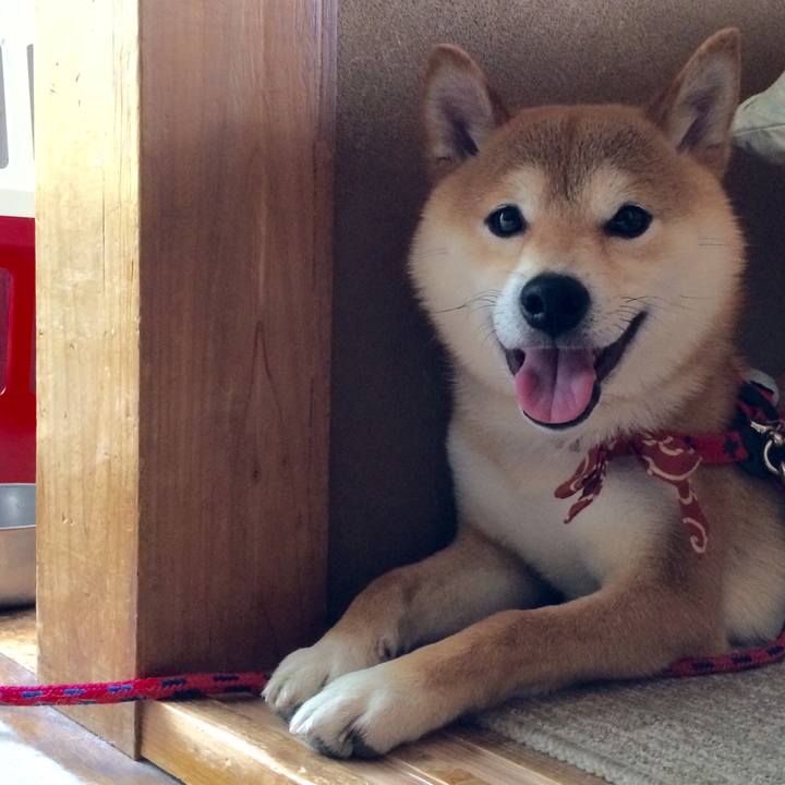 Cec7ef2c d8e5 401e bb7a 829f1d50f3e4