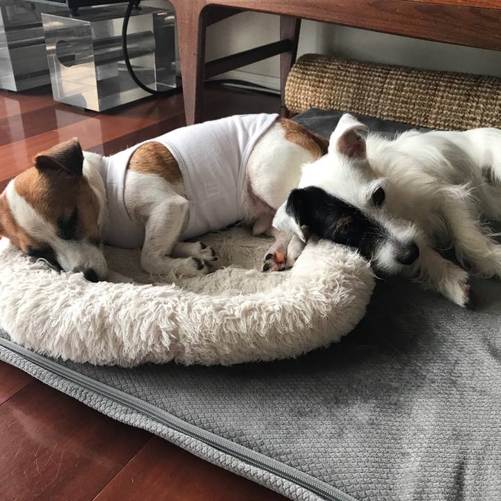 Cec85339 0f8b 4e23 8c76 565743411510