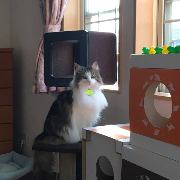 Cec88714 151f 4db5 af31 70fb9e24444d