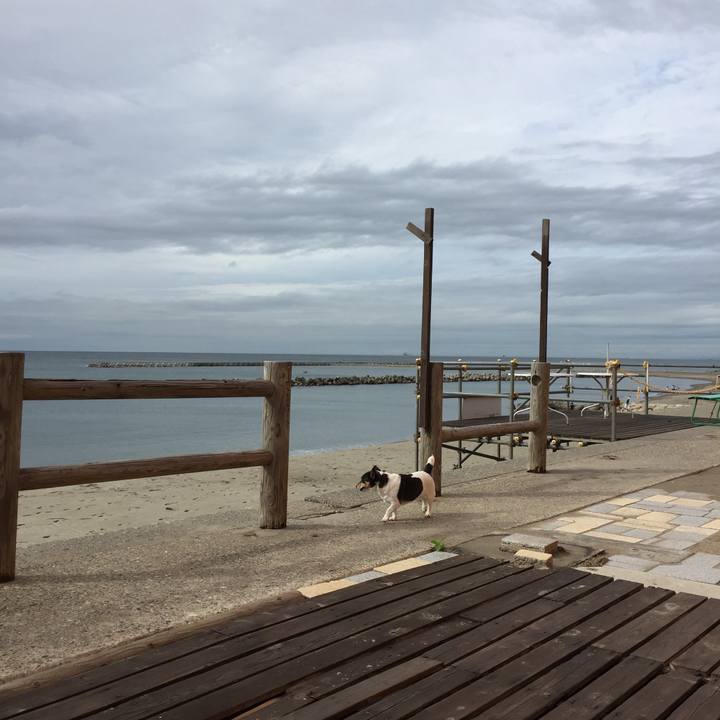 Cec88ea3 661a 47f6 9403 313aefa053f6