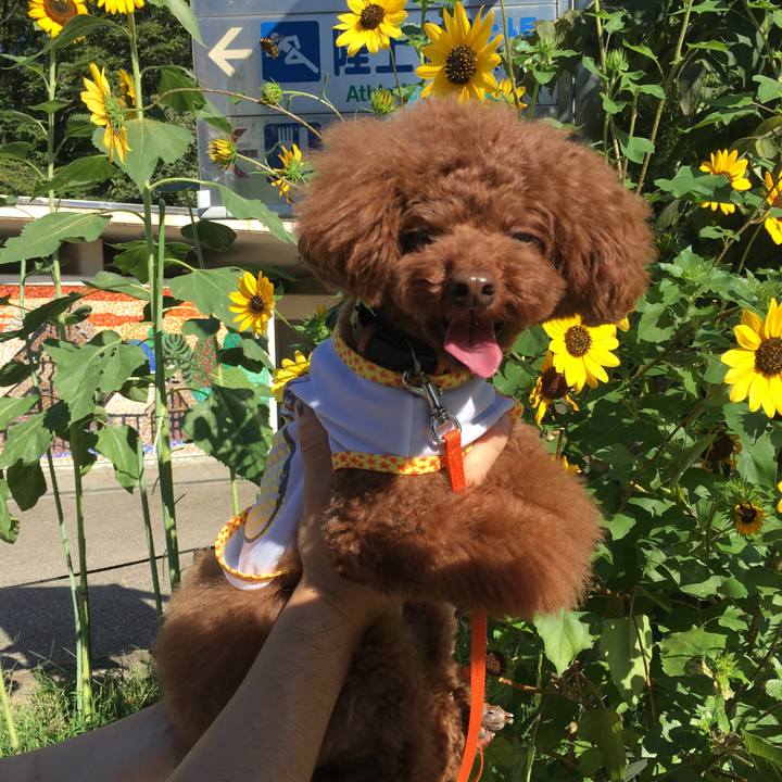 Cec894b1 40a4 48f9 b7ce f36239c00d2a