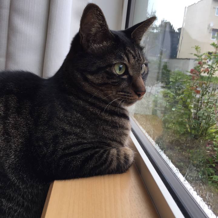 Ceca885e cee5 4202 94c1 0c048342aefc