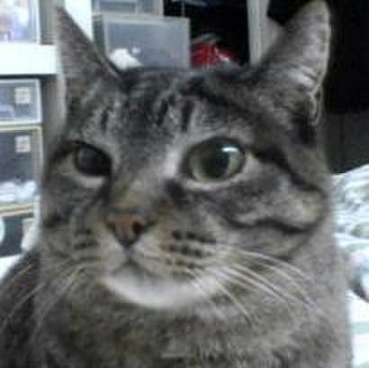 Cecaa75e 1a19 444e 86a1 abc0f26364d4