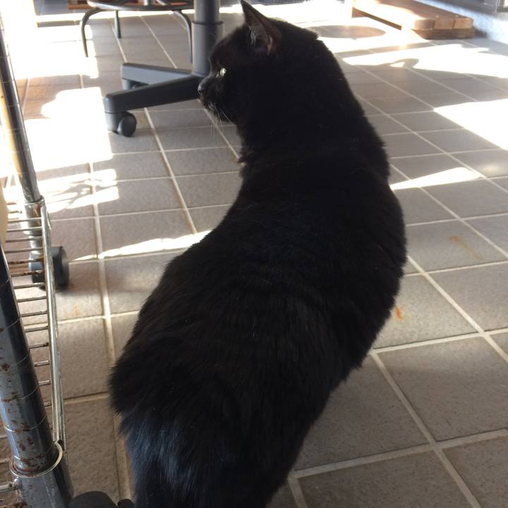 Cecaba12 f0c9 4afb a206 0c706cff3f40