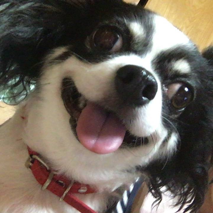 Cecb8cad 4094 4d2f 90ed a76511df1e21