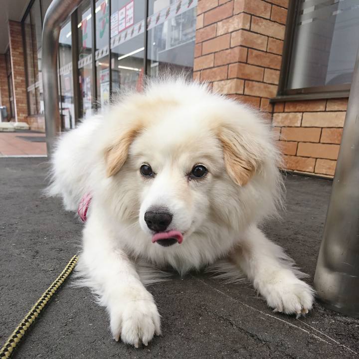 Cecc0bd5 02ea 49aa a522 7623515b09d5