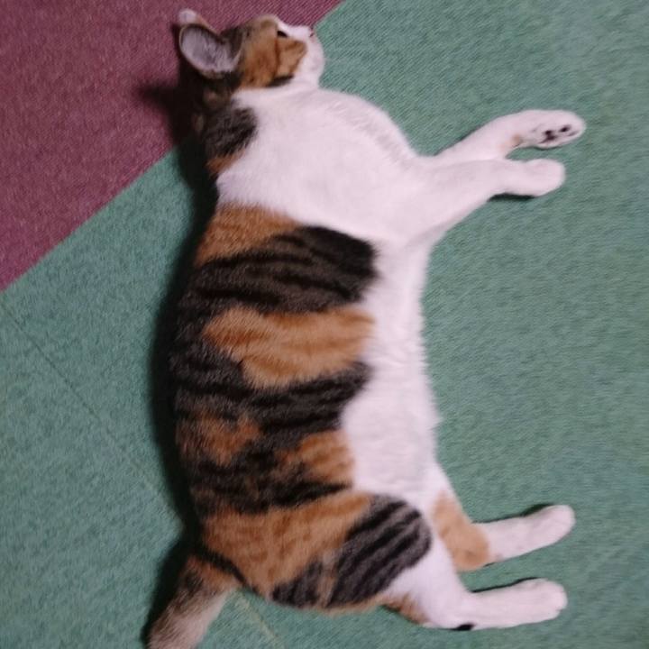 Cecca480 b664 4a75 9a2d 29b00fe394ad