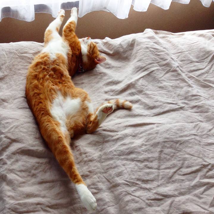 Ceccb5e5 e523 47c2 bc4e f922ac23bbdf