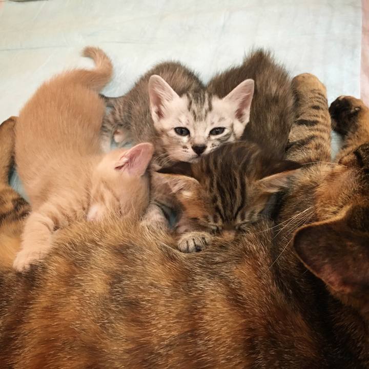 Cecce318 eff6 42e5 8109 6a6e3f92af63