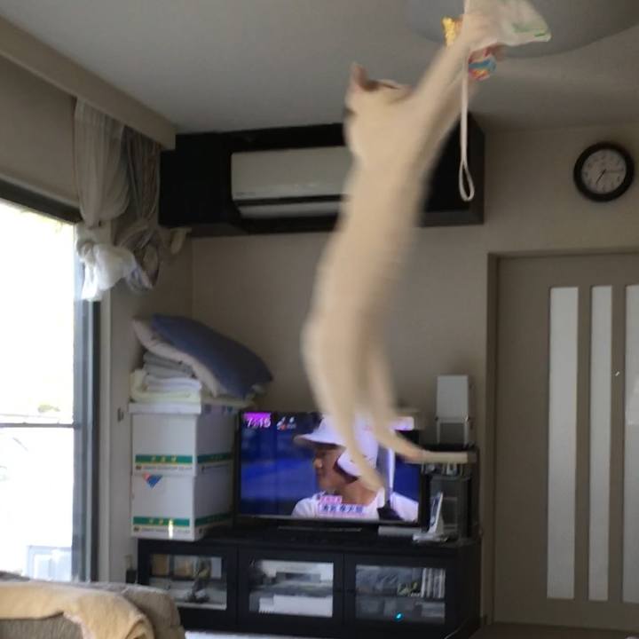 Cecdad32 3007 407b afc8 610a9a86fa73