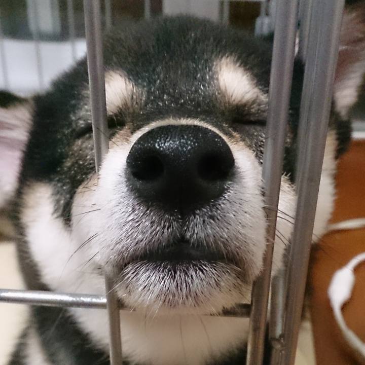 Cecdcc61 b88f 4a66 9eb4 233b8a022a5c