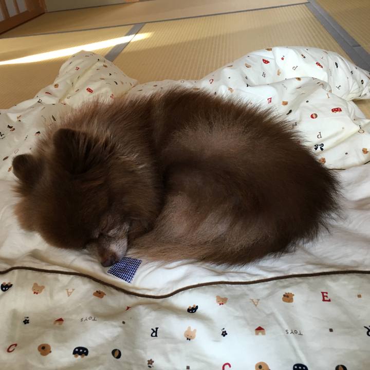 Cece4dfe eabc 4cbd 89a2 e8e071288eeb