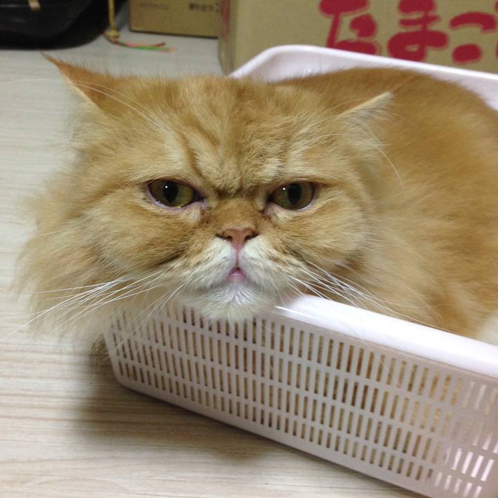 Cecec7ba c924 4f4c b3cb 35ba9fc611bc