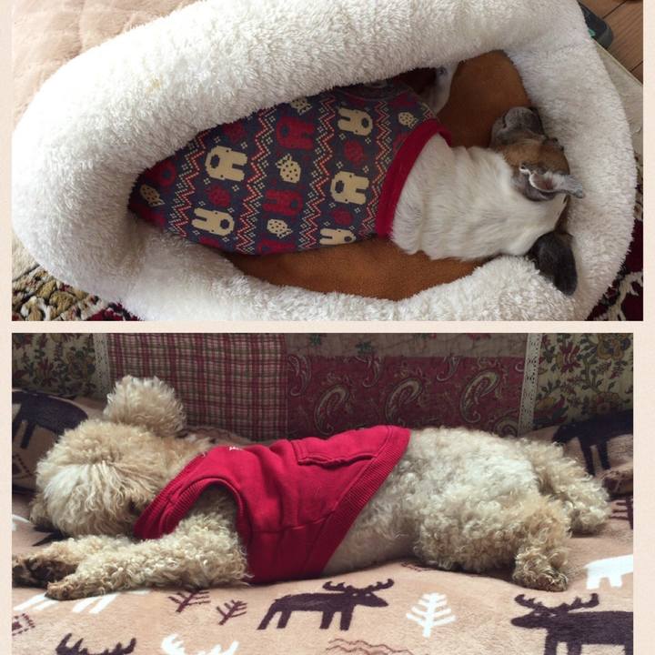 Cecf0757 4af1 4177 b875 fe5afb475e23