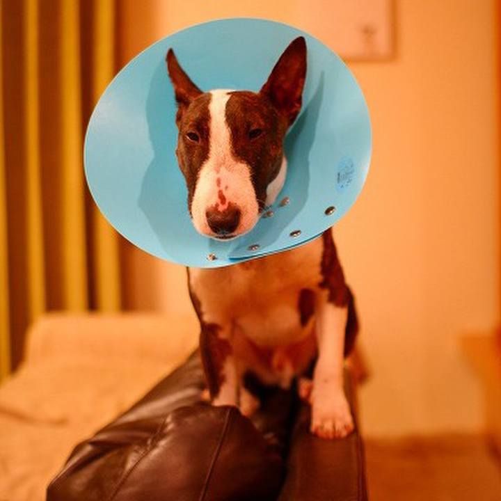 Cecf3ec3 1cd0 44d4 8e63 72ab30e87e38