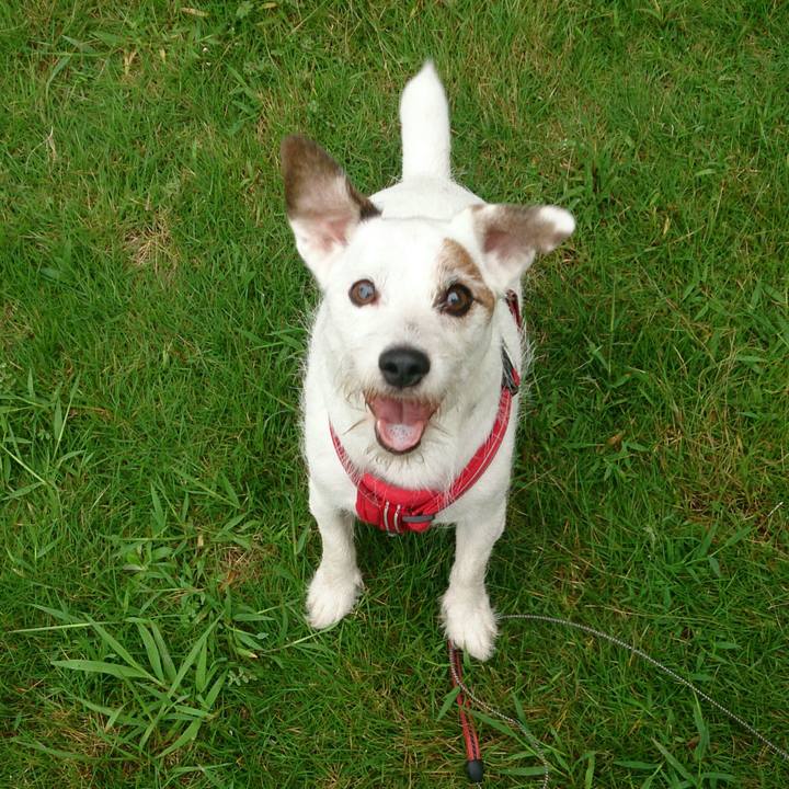 Cecf981f ecd4 4140 87b5 9a45b894415c