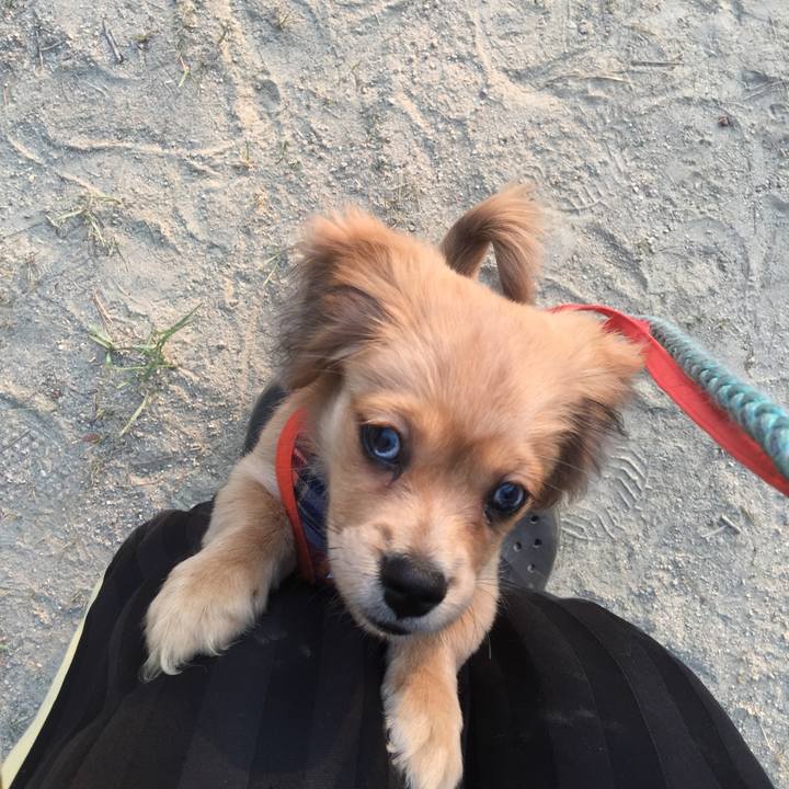 Cecfbd10 fc93 4ee2 abe9 ac2cdc117813