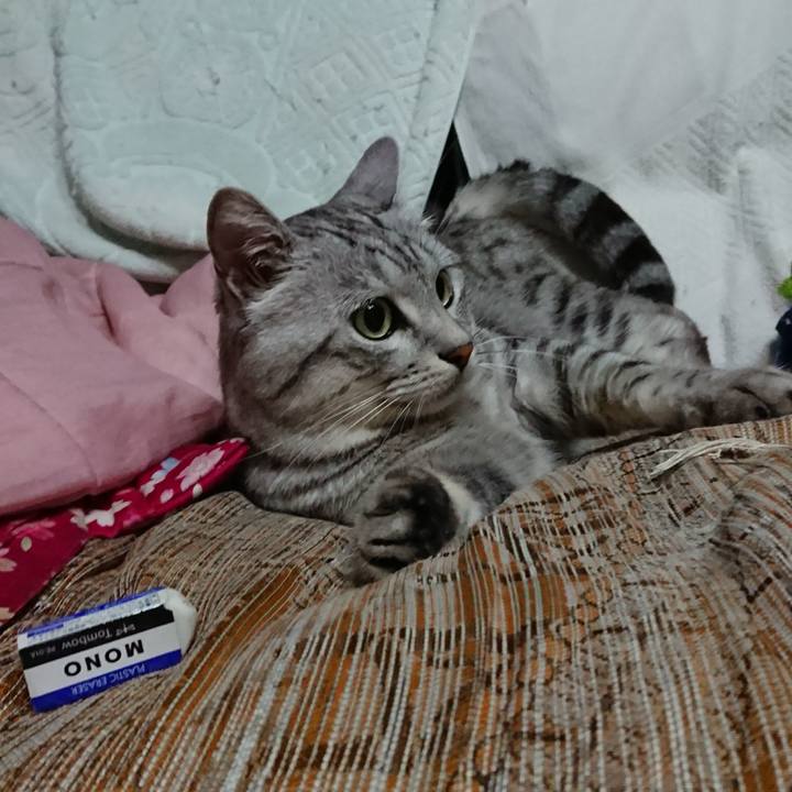 Cecfdd65 d453 40ea 84d2 4cb1252dd16b