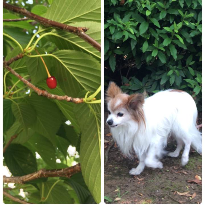 Cecfeaa5 a860 48cb aca6 7c073eadb303