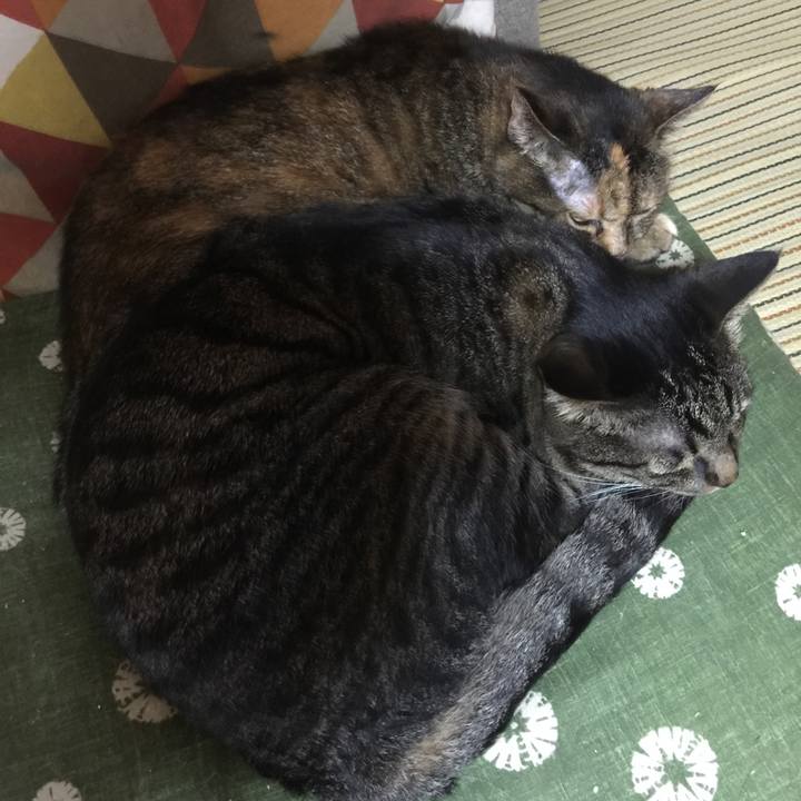 Ced265c5 2567 49e7 b1fd e6ca5ddc917a