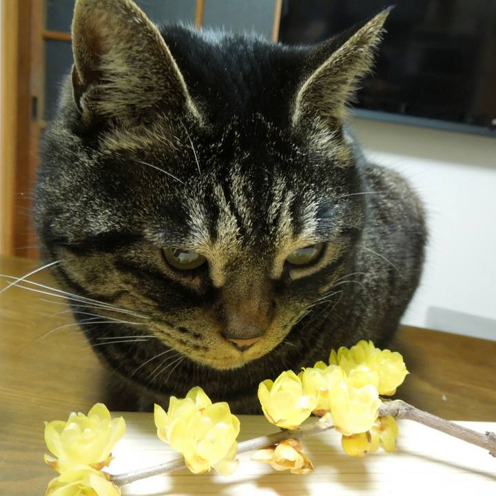 Ced27bf3 37d5 4ab3 83f0 4b049446b899