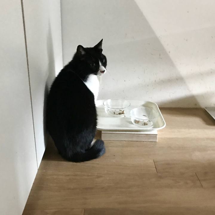 Ced2e1b3 c445 4878 9a35 1c26474a4ad4