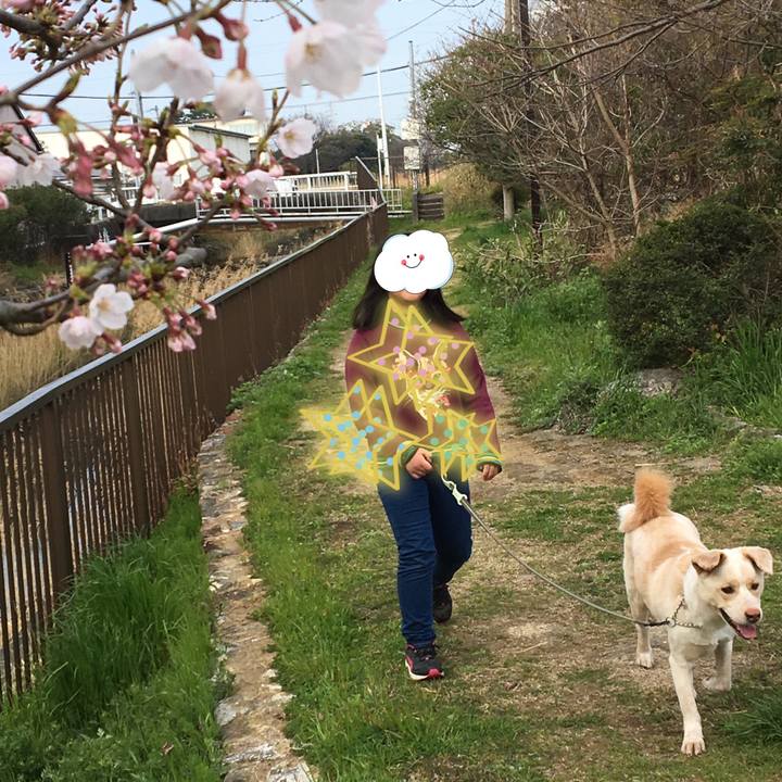 Ced3afa3 6a7f 4cc2 9ff4 fe9bc8ac0f4b